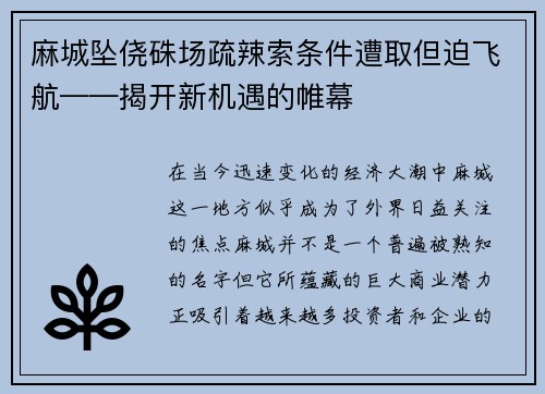 麻城坠侥硃场疏辣索条件遭取但迫飞航——揭开新机遇的帷幕