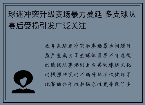 球迷冲突升级赛场暴力蔓延 多支球队赛后受损引发广泛关注