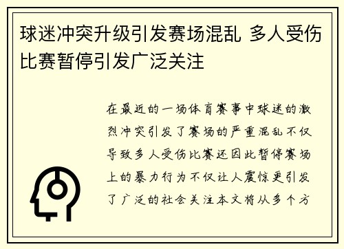 球迷冲突升级引发赛场混乱 多人受伤比赛暂停引发广泛关注